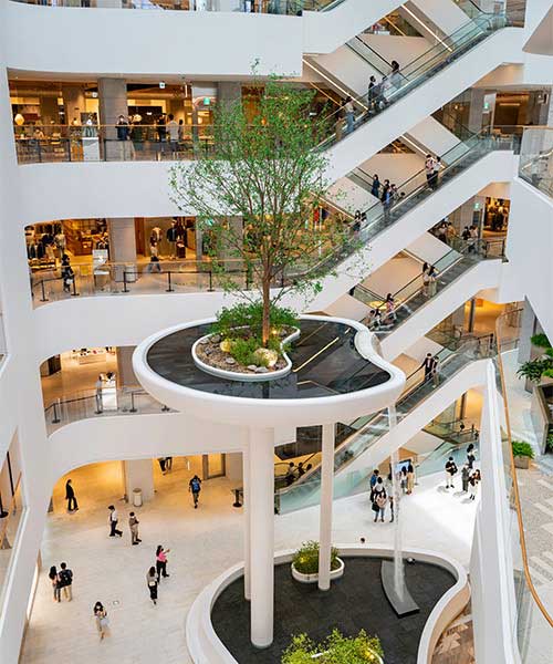 Bathroom Accessories